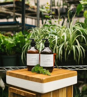 Vitality Herbal Tincture