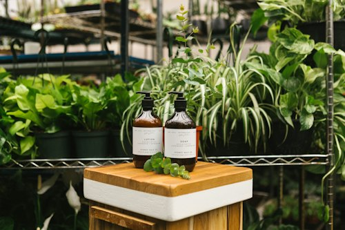 Vitality Herbal Tincture
